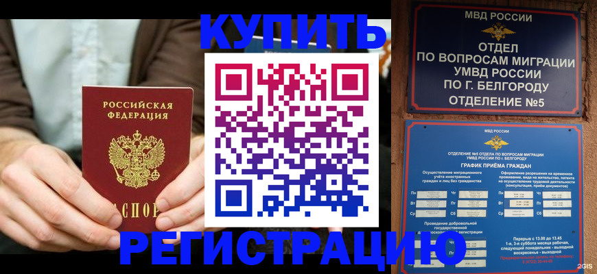 прописка 2025 в Гатчине